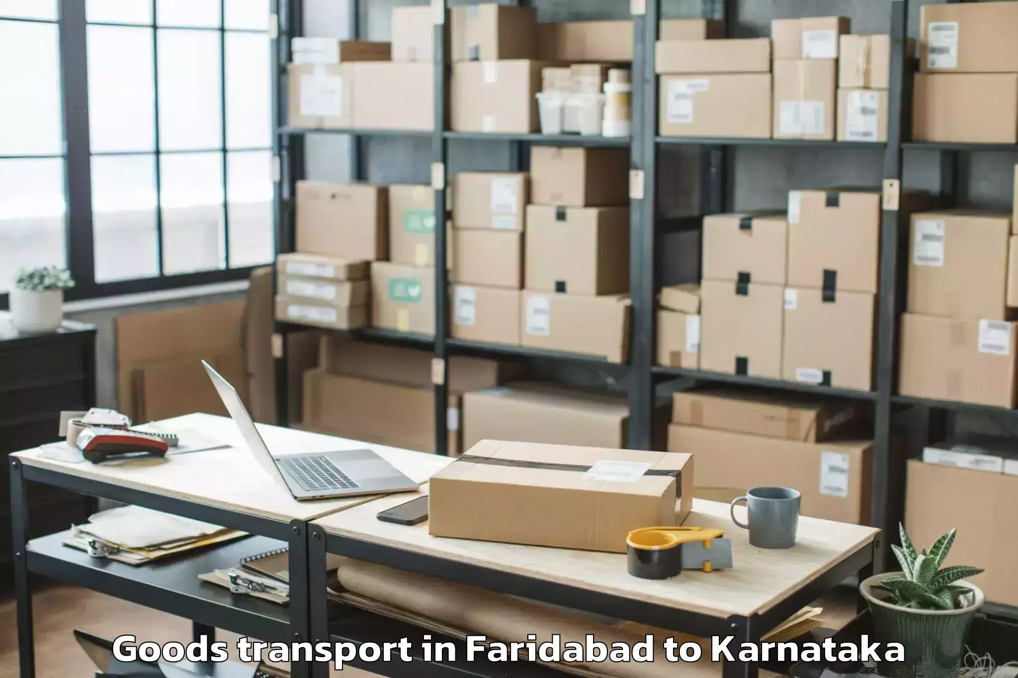 Affordable Faridabad to Panja Dakshin Kannad Goods Transport